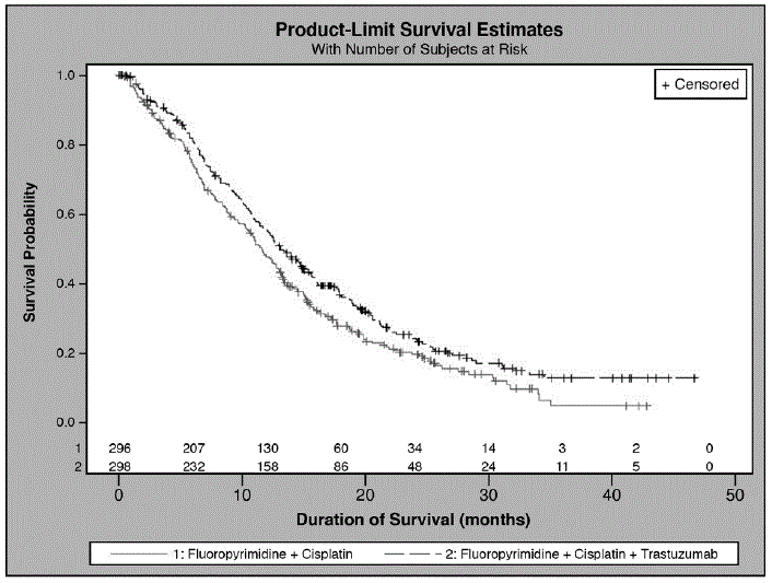 Updated Overall Survival in Patients with
Metastatic Gastric Cancer (Study 7) - Illustration