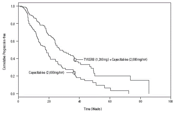 Kaplan-Meier Estimates for Independent
Review Panel-evaluated Time to Progression - Illustration