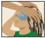 Massage ULESFIA Lotion into your hair and scalp. - Illustration