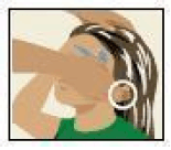 Be sure to apply ULESFIA Lotion to the area behind your ears. - Illustration