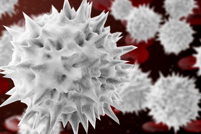 White blood cells flood your body when they detect harmful invaders.