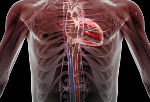 Inflammation around the heart (pericarditis) is the most common heart ailment in lupus patients.