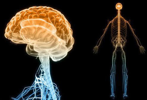 Lupus can affect the brain and nervous system.