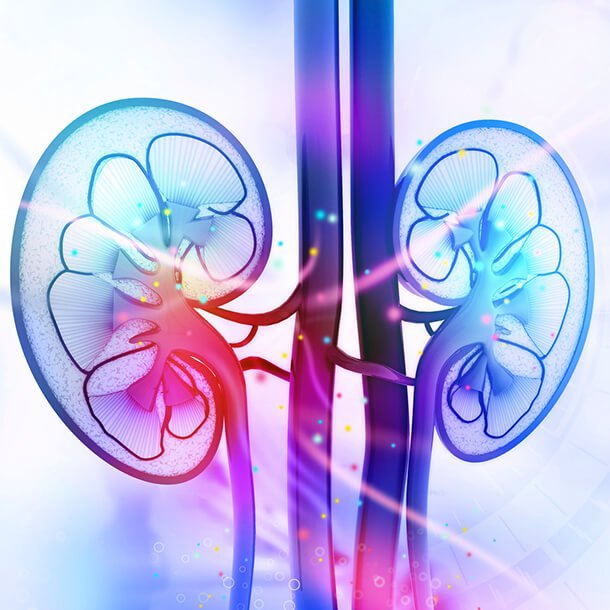 Interstitial cystitis (IC) is an inflammatory disease of the bladder. Symptoms include pelvic or bladder pain, frequent urination, and urinary urgency.