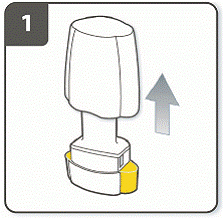 Your inhaler is made to give you the medicine contained
in the capsules - Illustration