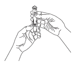 Gently break open the neck of the ampule by pushing away from the dot on the Ventavis ampule to snap off the ampule lid. - Illustration