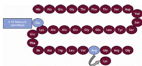 VICTOZA® (liraglutide) Structural Formula Illustration