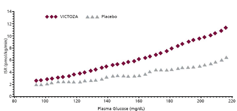 Mean Insulin Secretion Rate (ISR) versus Glucose Concentration Following Single-Dose VICTOZA 7.5 mcg/kg (~ 0.7 mg) or Placebo in Patients with Type 2 Diabetes (N=10) During Graded Glucose Infusion - Illustration