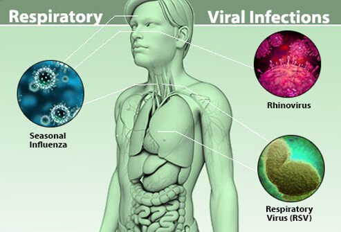 Respiratory viral infections affect the lungs, nose, and throat.