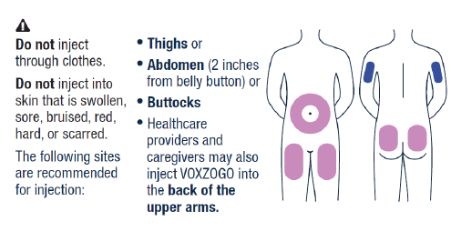 VOXZOGO should be injected into the fatty layer under the
skin (subcutaneous) only - Illustration