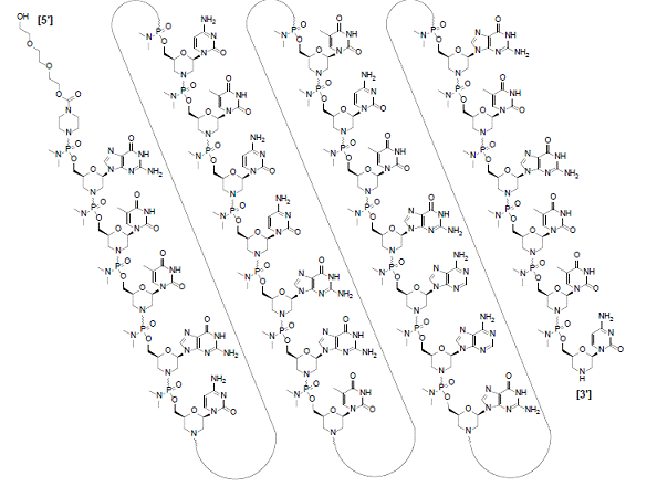 VYONDYS 53 (golodirsen) Structural Formula - Illustration