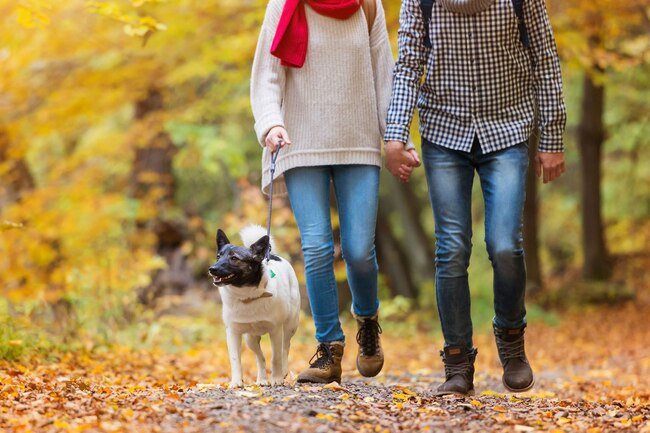 Being active outside may help you warm up and will keep you fit.