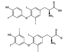 Liothyronine  and levothyroxine Structural Formula Illustration