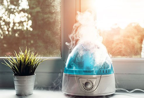 Humidifiers are a part of many households during the winter or flu season