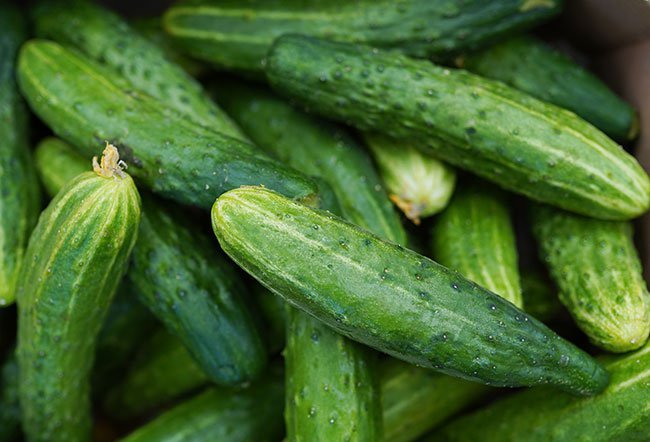 what are nightshade vegetables and why are they bad?
