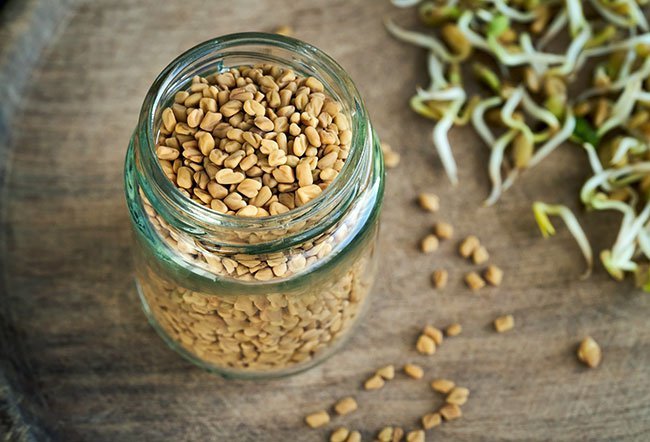 Fenugreek