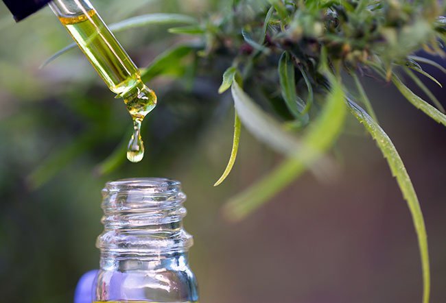 Tinctures are herbal extracts that are extremely popular in folk remedies