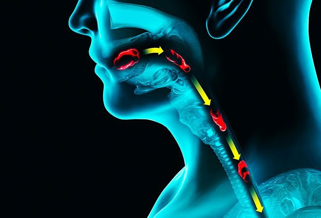 The difference between odynophagia and dysphagia is that dysphagia is difficulty swallowing and odynophagia is painful swallowing.
