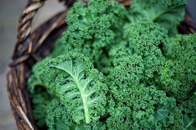 Kale is part of the cruciferous family of vegetables, which also includes broccoli, cabbage, and cauliflower.