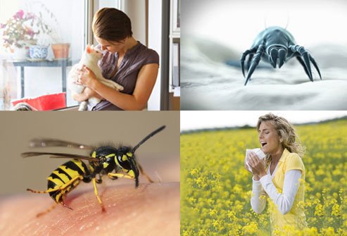 Pollen, foods, dust mites, animal or pet dander, bee or wasp stings, and meidcations are a few examples of allergens that can trigger allergies.