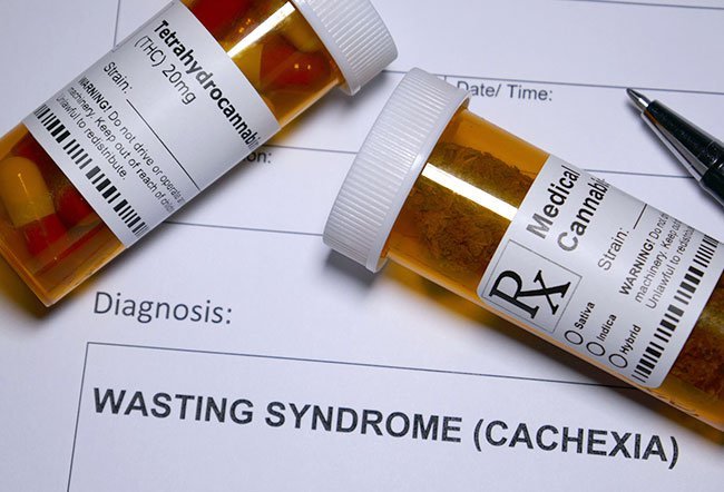 Cachexia or wasting syndrome involves a complex change in the body