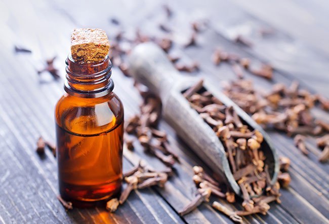 clove oil