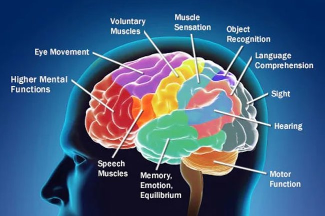 Brain cancer may cause headaches, seizures, vision and hearing loss and balance problems.
