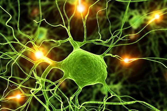 It is common for people who have brain cancer to get seizures.