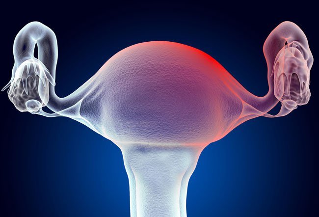 During ovulation, rising estrogen causes an increase in cervical mucus. At the peak of your fertility, your cervical mucus may be stretchy and “egg white”-like in texture.