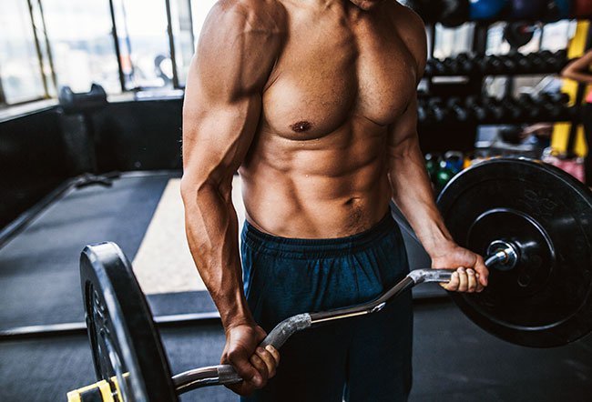 what does clenbuterol do to your body