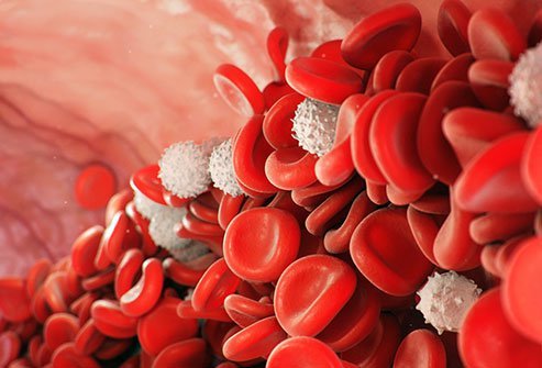Neutrophils are white blood cells (WBC). 