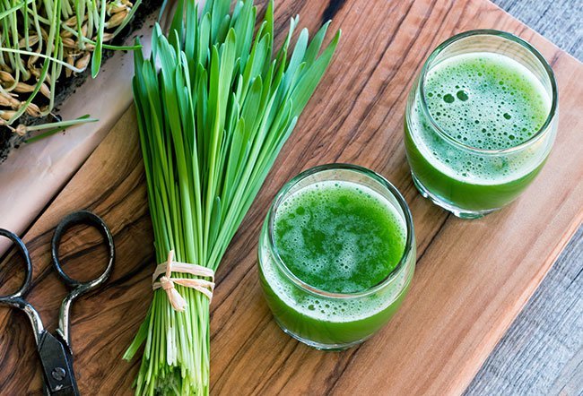what does wheatgrass do for your body