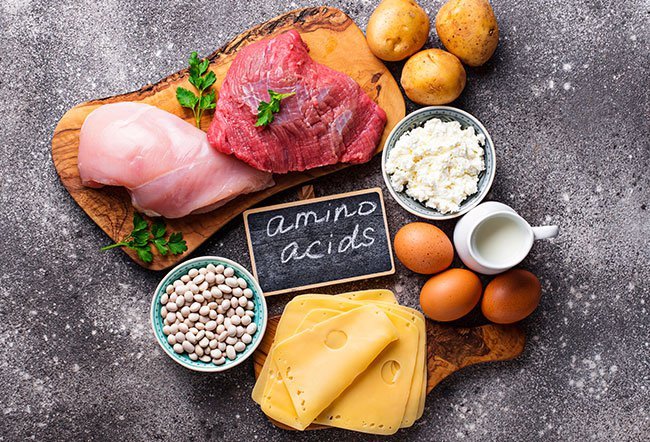 Amino acids are building blocks of protein.