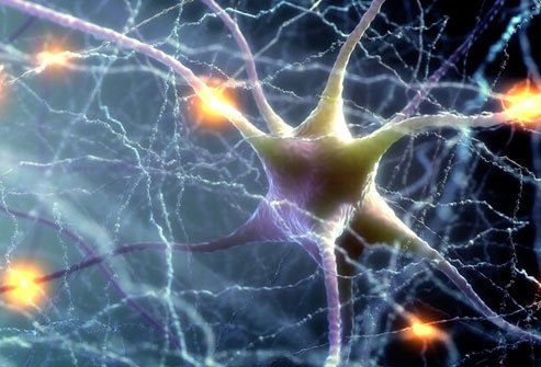 Adequate hydration helps your brain work better.