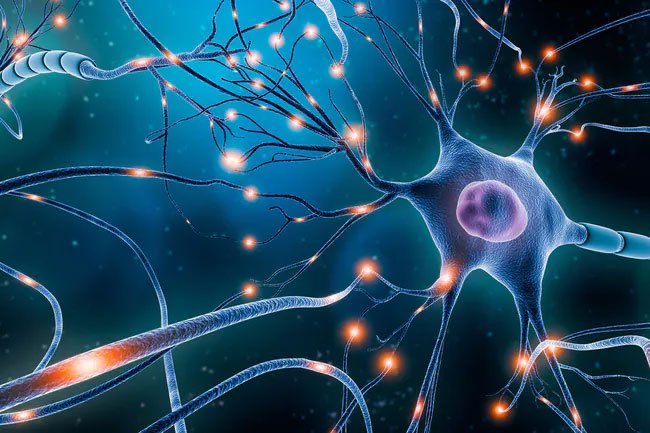Ketosis may help people who have seizures and brain disorders like Parkinson's disease.