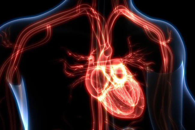 Low-carb diets are high in fat, which may raise your levels of LDL or "bad" cholesterol.