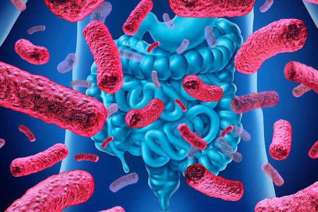 Research shows eating lots of processed food and refined grains can negatively affect your gut health.