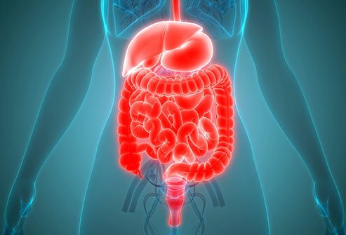 Ileum