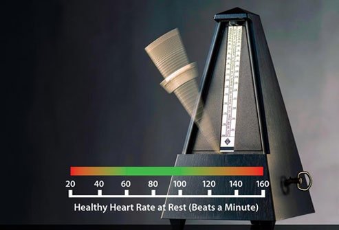Heart Rate