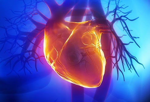High blood pressure can cause your arteries to narrow.