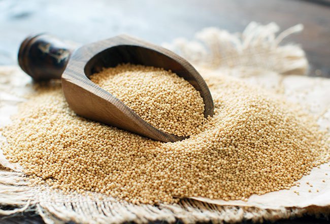 The seeds (grains) of the amaranth plant have been used for thousands of years
