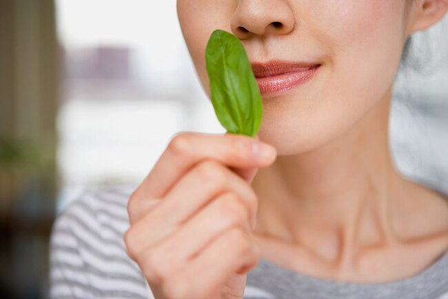 Your sense of taste and sense of smell and interconnected. When your sense of smell goes south, taste usually follows.
