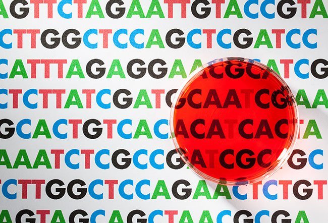 Cancer Genomic Testing
