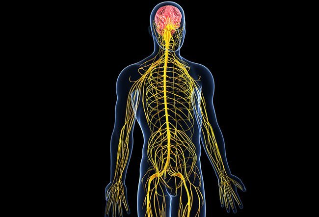 Paresthesia is a burning or tingling sensation that is typically occurs in the hands, arms, legs, or feet, but can also be felt in other parts of the body. A wide array of causes include seizures, circulatory disorders, infections, toxic exposure, diabetes and hyperthyroidism.