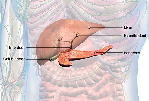 Percutaneous Transhepatic Biliary Drainage