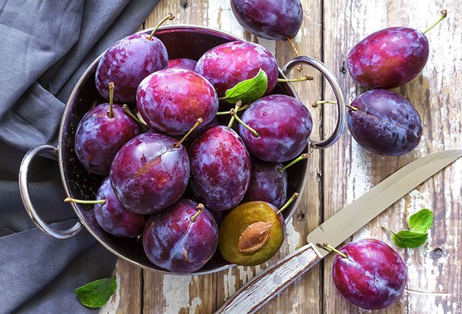 What Is the Benefit of Eating Plums