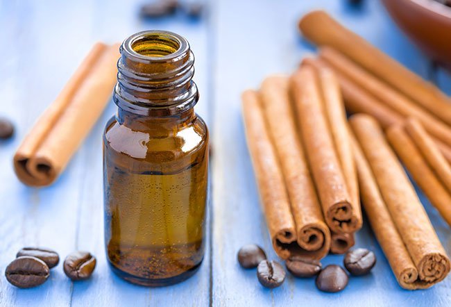 Home remedy to get rid of ants