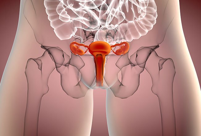anteverted uterus