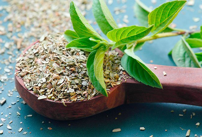  Tulsi grows as a branched shrub that may reach up to a height of 60 cm.