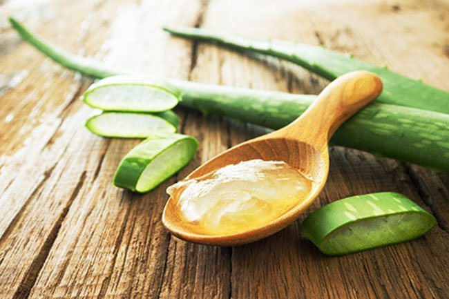 Rubbing this plant on a burn or wound may help it heal or feel better.